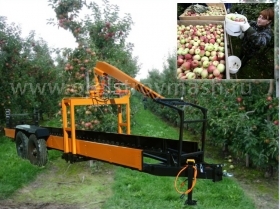 Тележка для транспортировки фруктов ТТФ-1